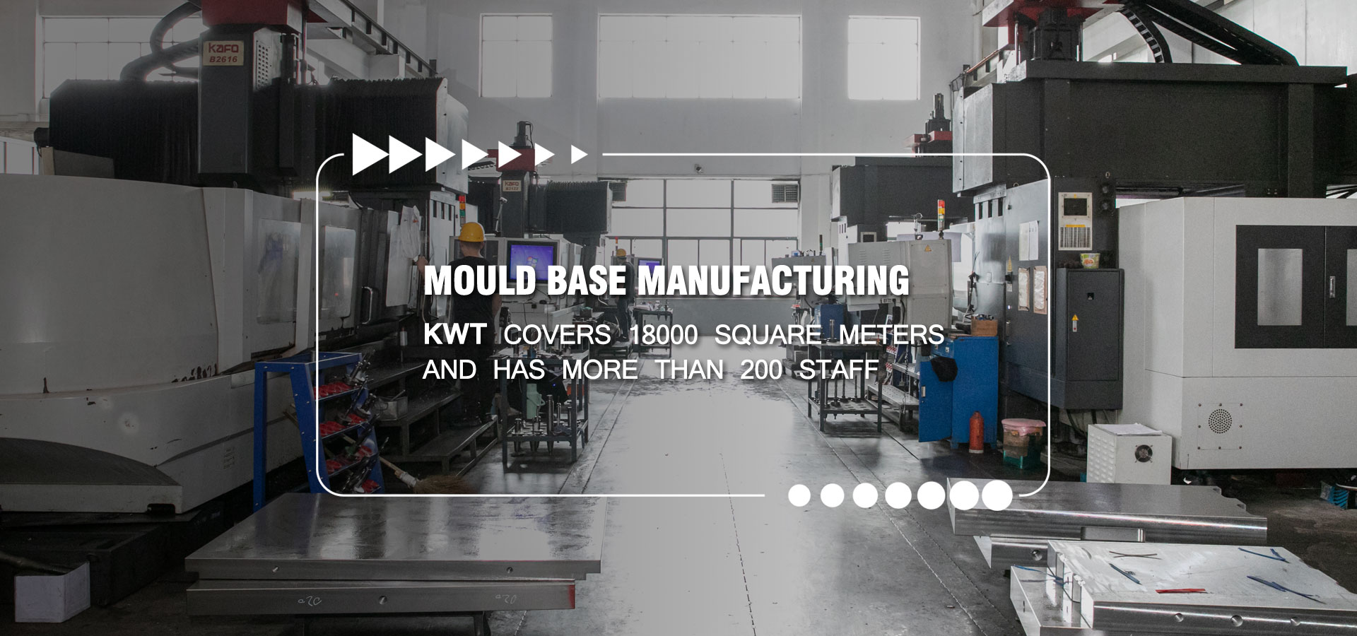 Schimmel Basis